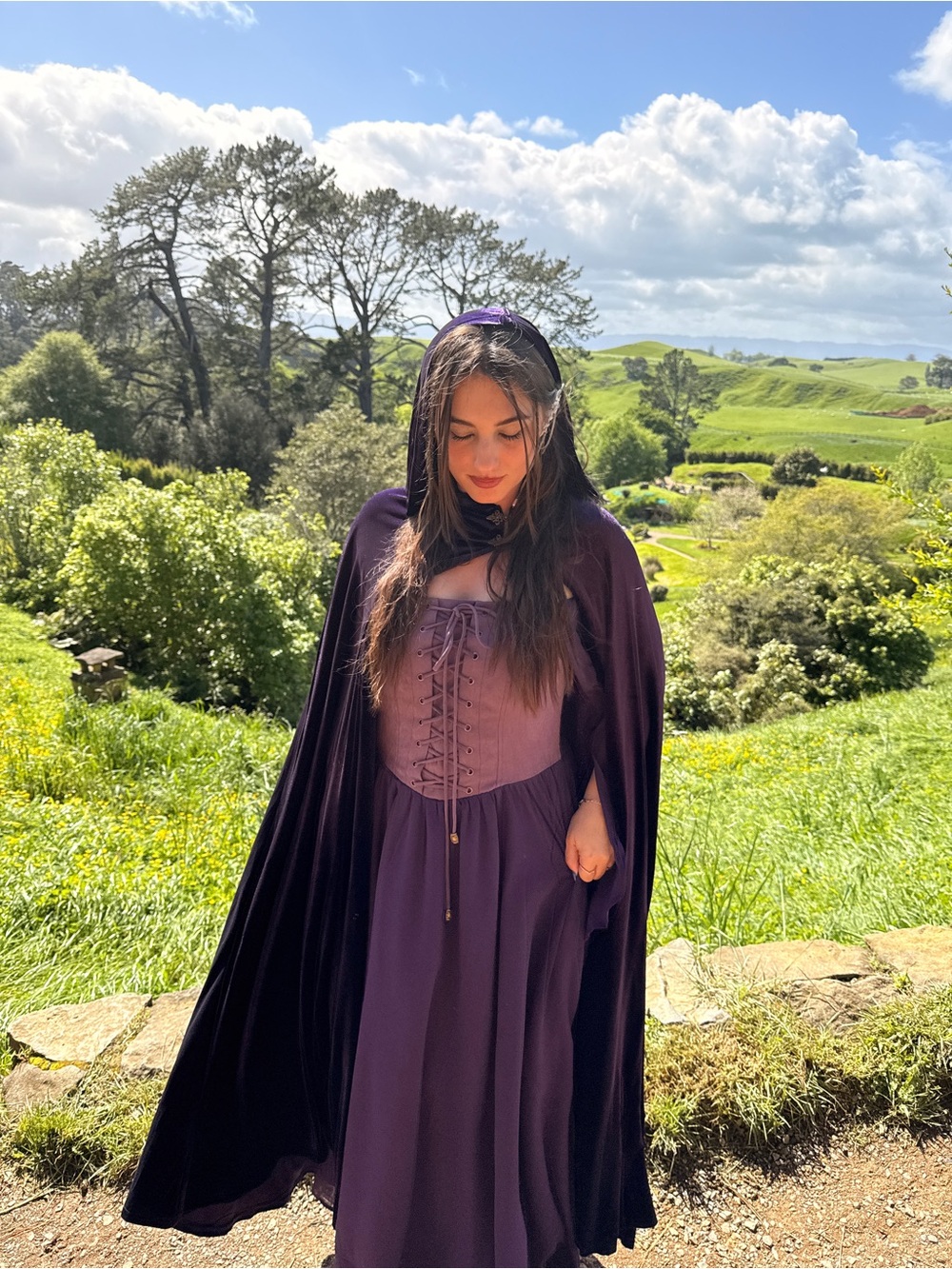 Renaissance Corset Long Sleeve Dress in Deep Purple
